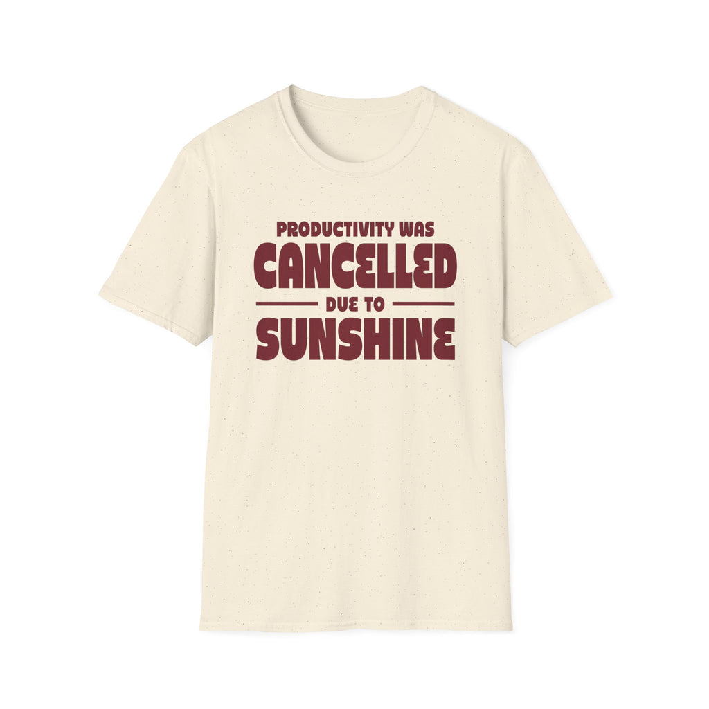 Productivity was Cancelled due to Sunshine Tee