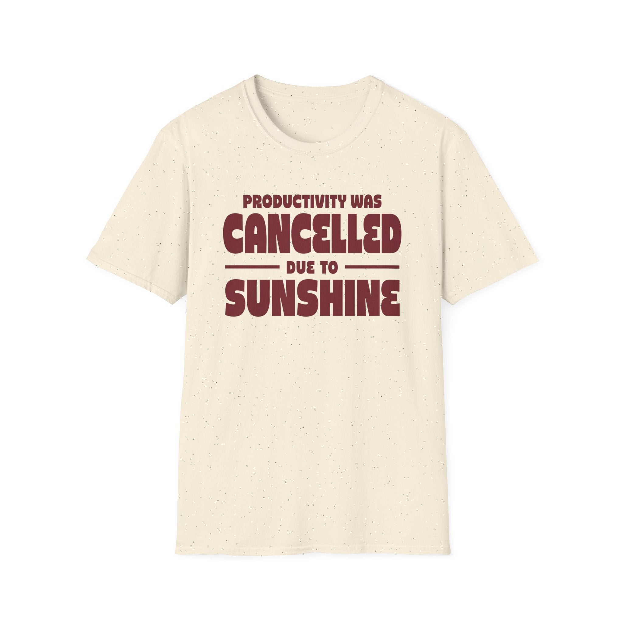 Productivity was Cancelled due to Sunshine Tee