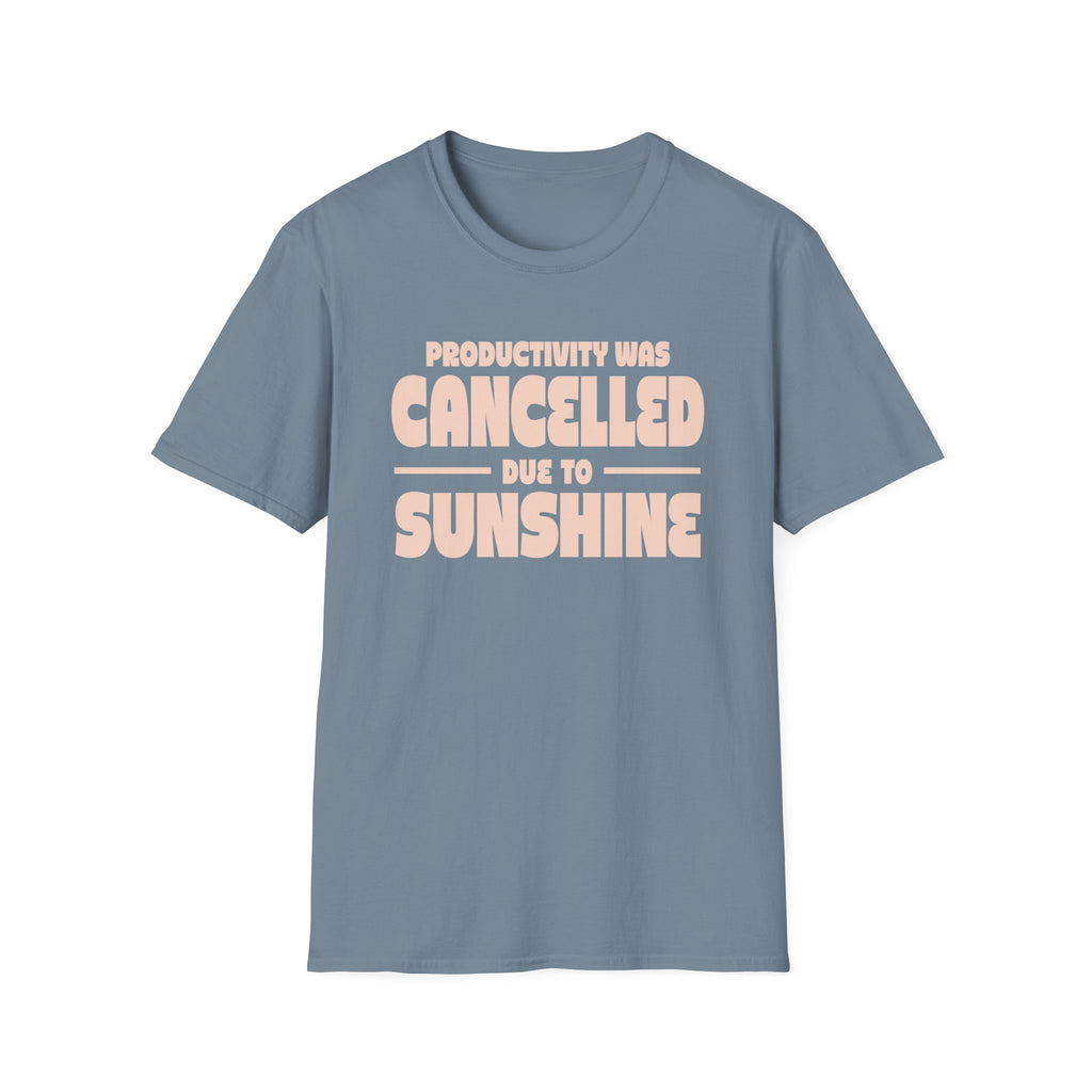 Productivity was Cancelled due to Sunshine Tee