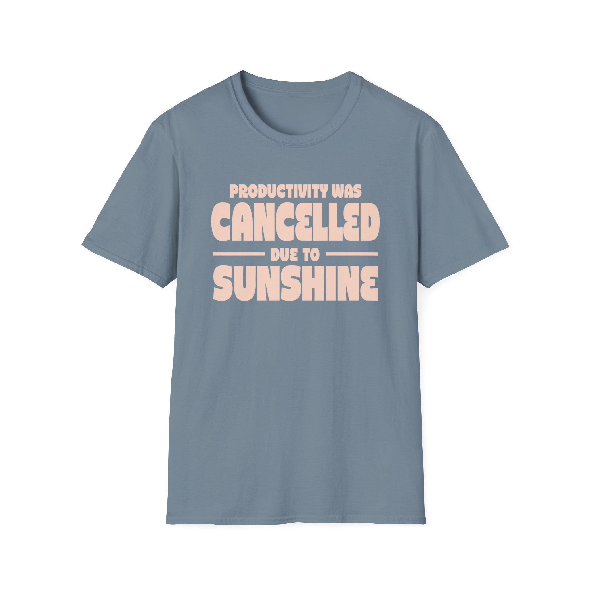 Productivity was Cancelled due to Sunshine Tee