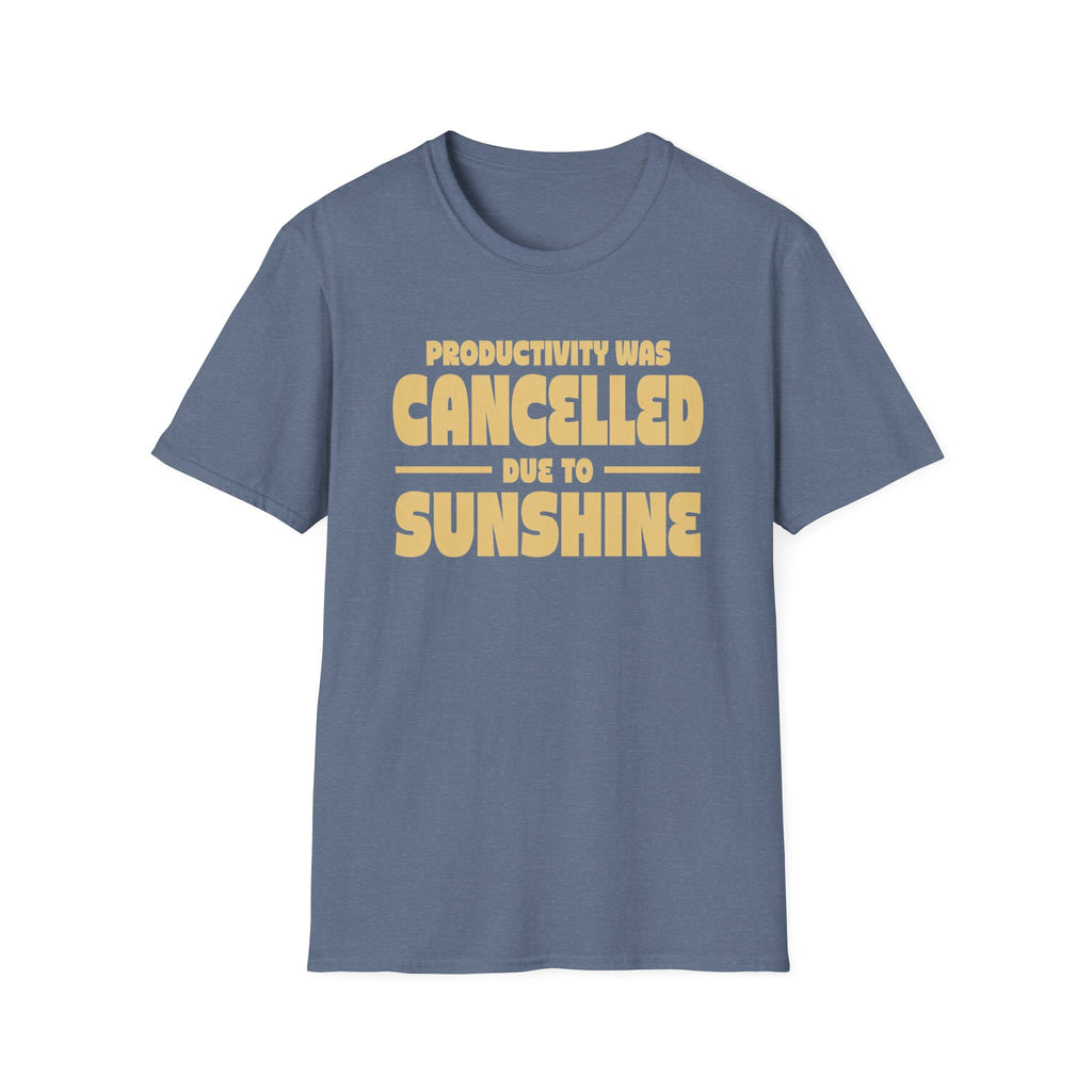 Productivity was Cancelled due to Sunshine Tee