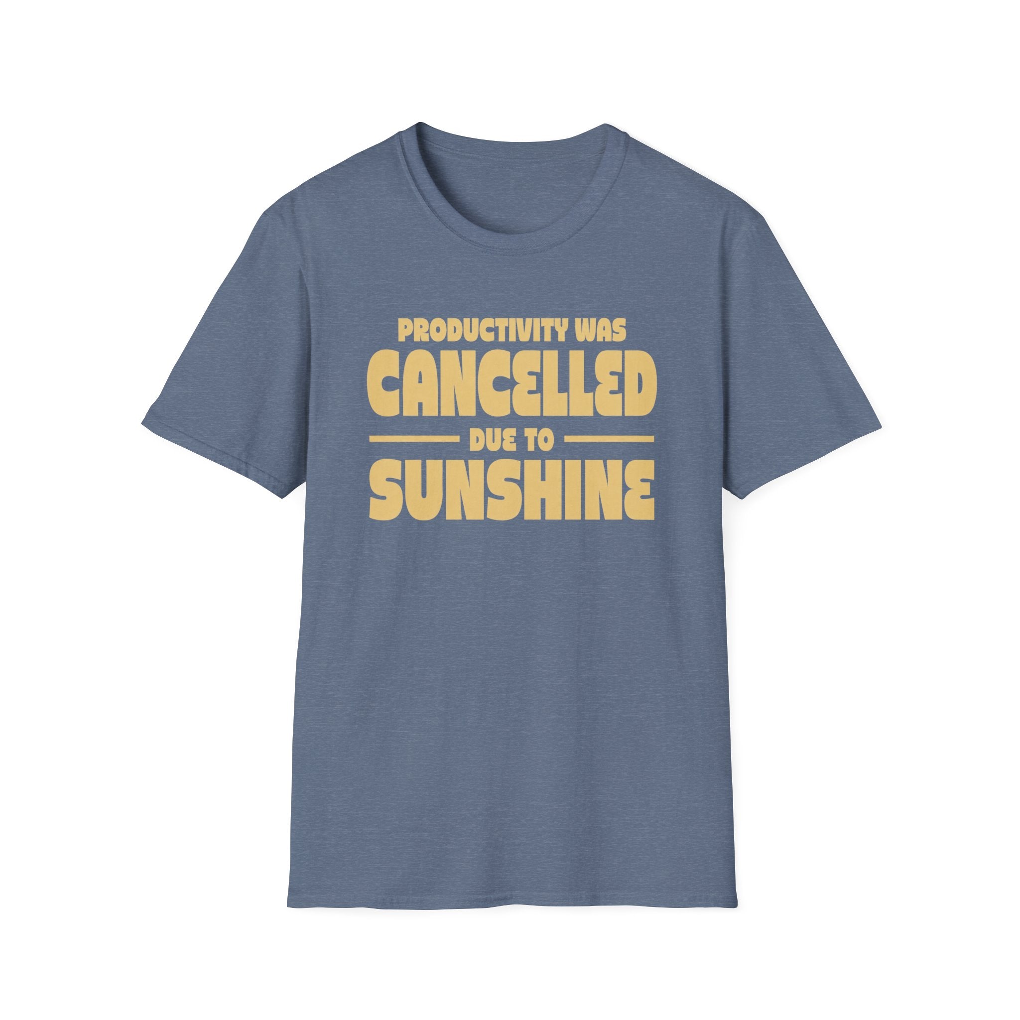 Productivity was Cancelled due to Sunshine Tee