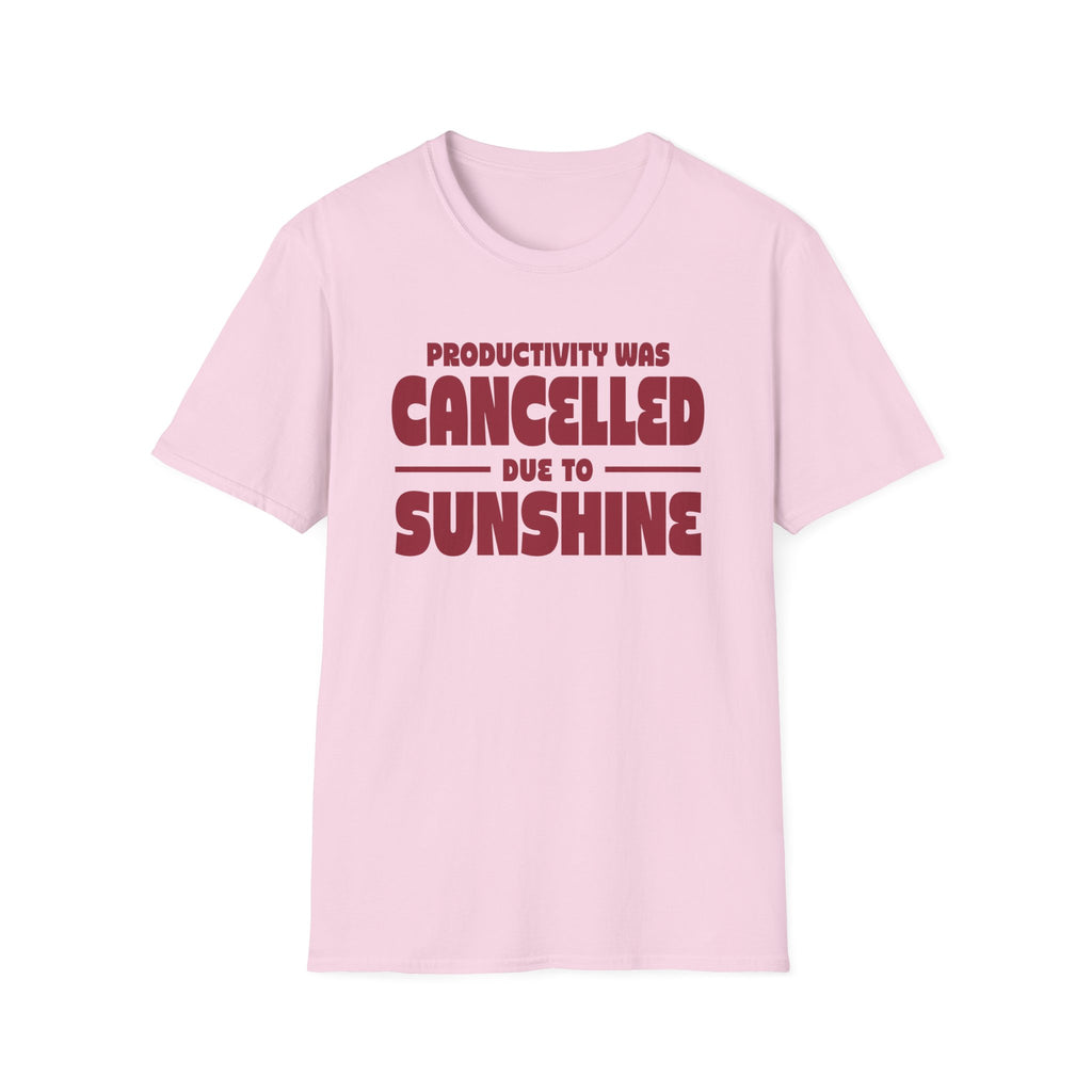 Productivity was Cancelled due to Sunshine Tee