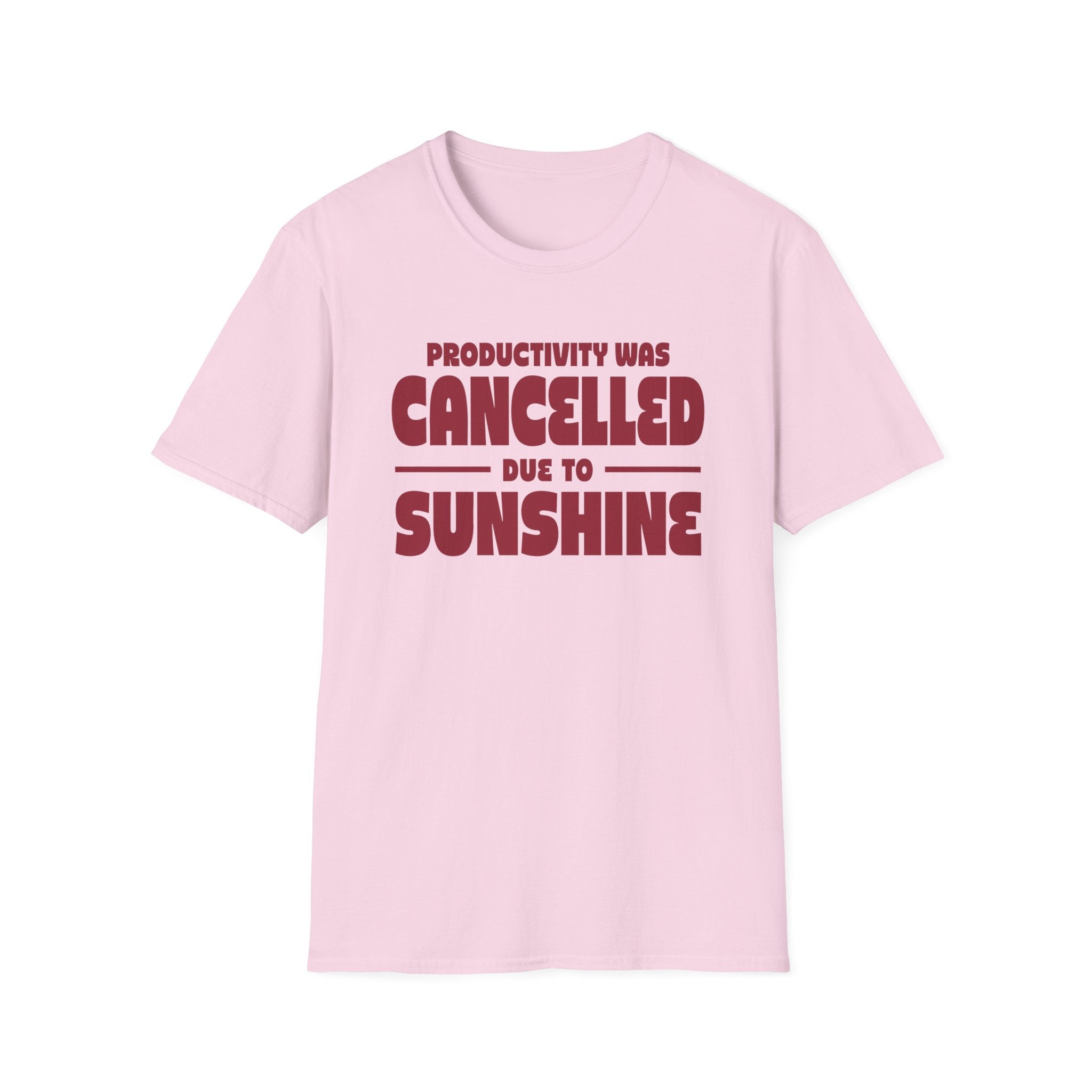 Productivity was Cancelled due to Sunshine Tee