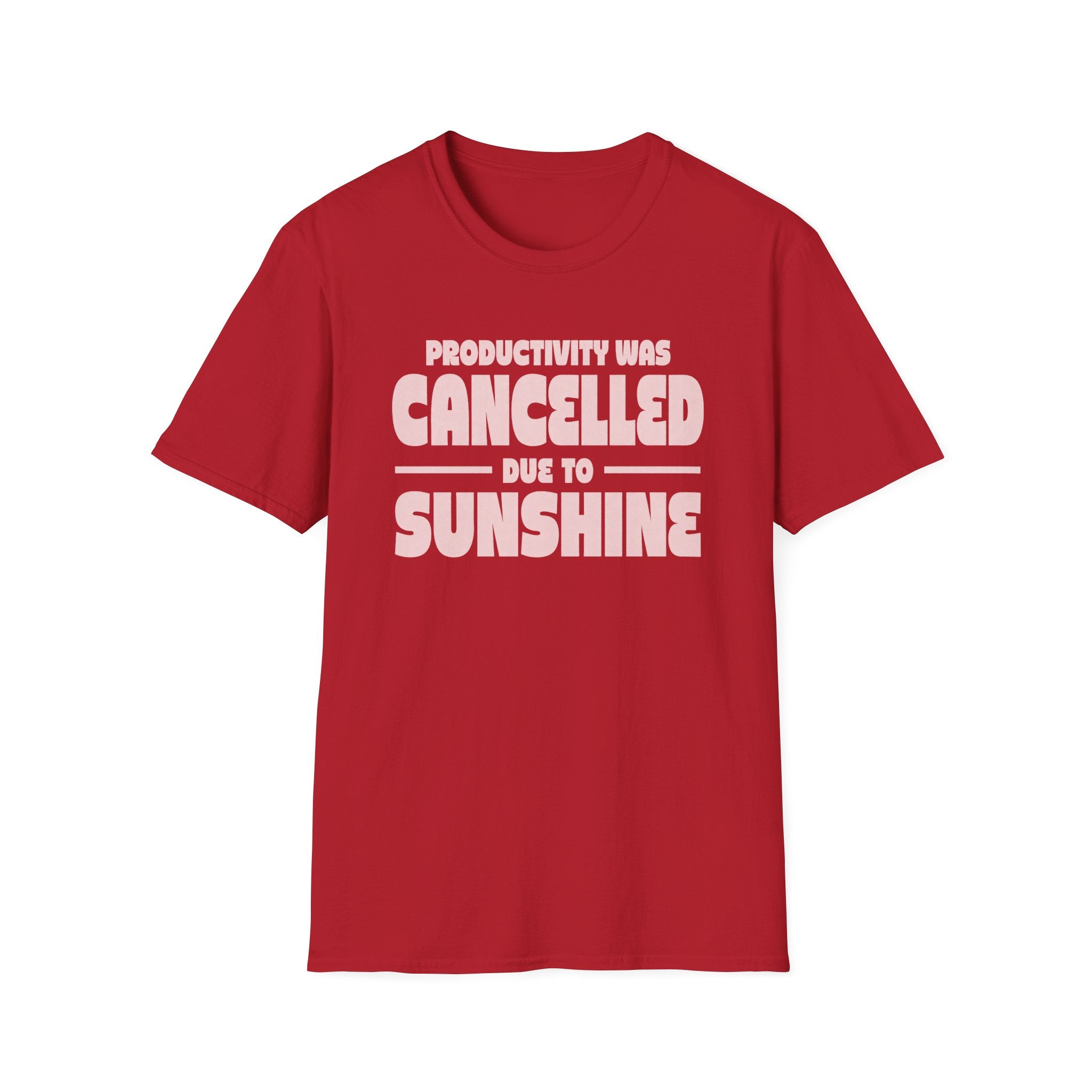 Productivity was Cancelled due to Sunshine Tee
