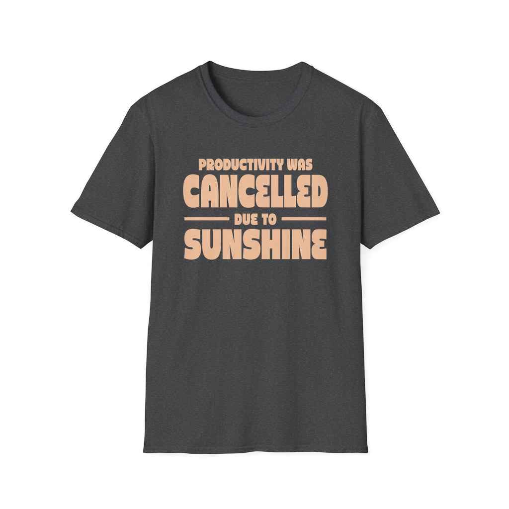 Productivity was Cancelled due to Sunshine Tee