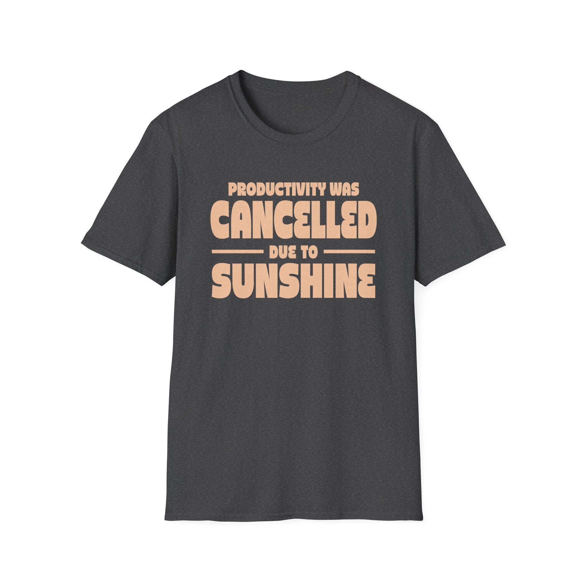 Productivity was Cancelled due to Sunshine Tee