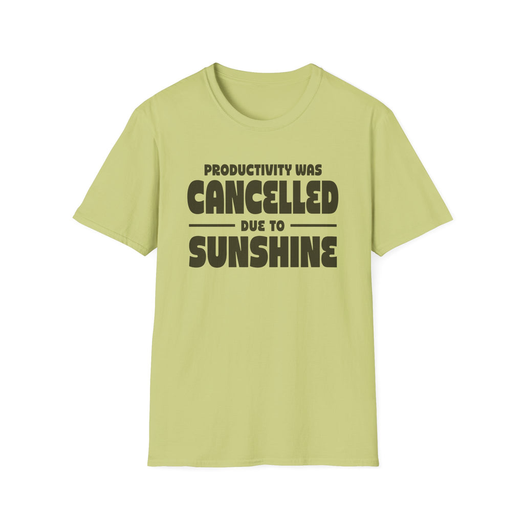 Productivity was Cancelled due to Sunshine Tee