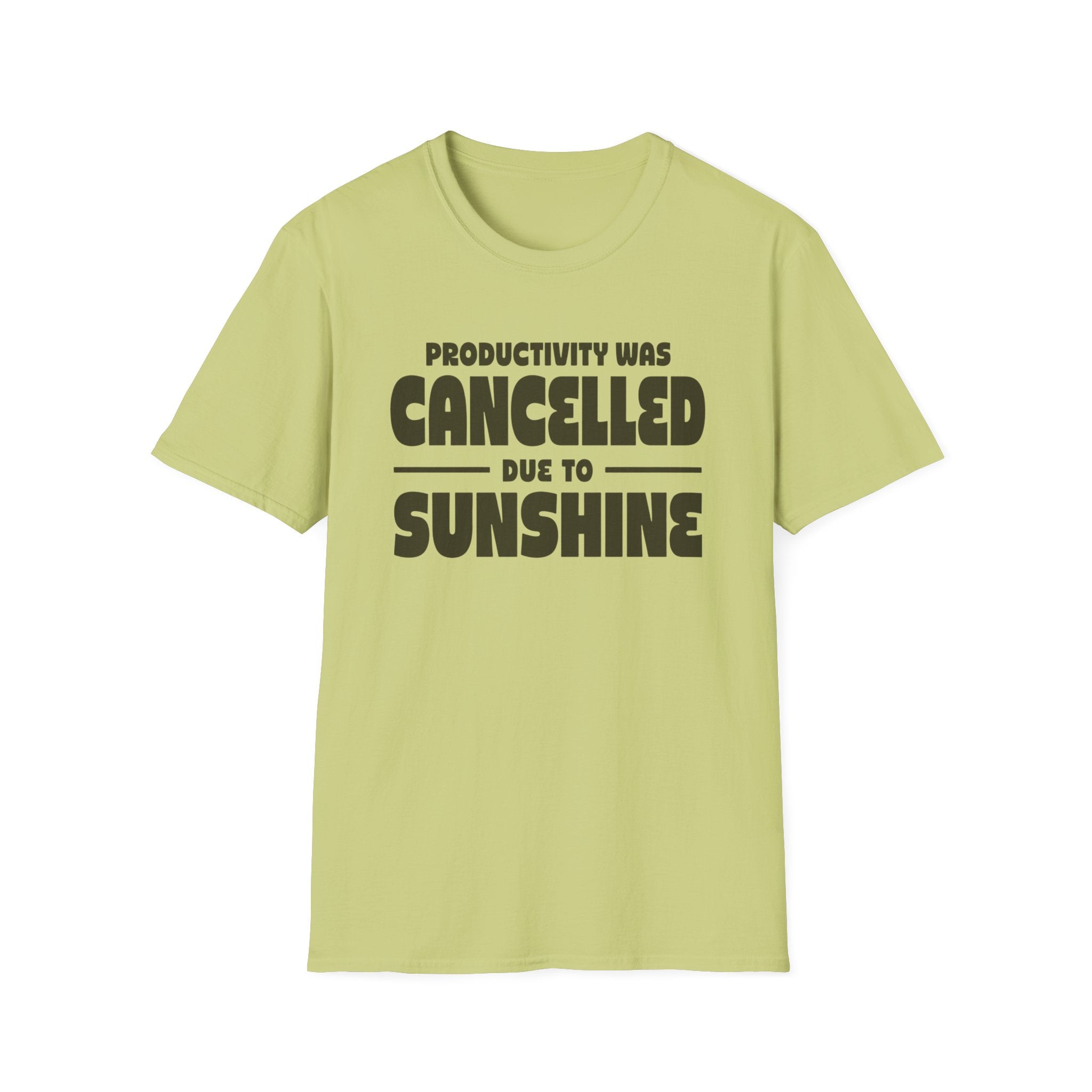 Productivity was Cancelled due to Sunshine Tee