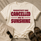 Productivity was Cancelled due to Sunshine Tee
