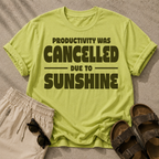 Productivity was Cancelled due to Sunshine Tee